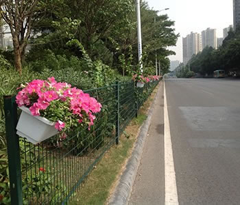 生態園草莓视频18免费观看網